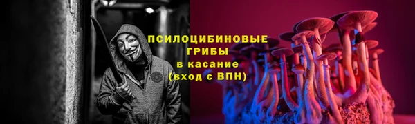 соль курить ск Семёнов