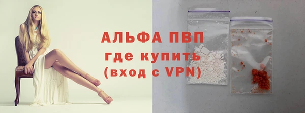 прущие грибы Сафоново