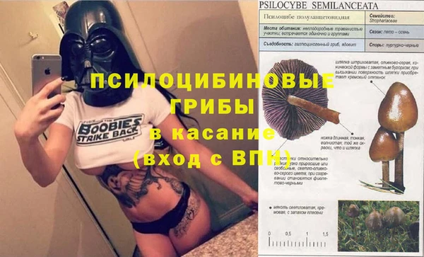 PSILOCYBIN Новозыбков