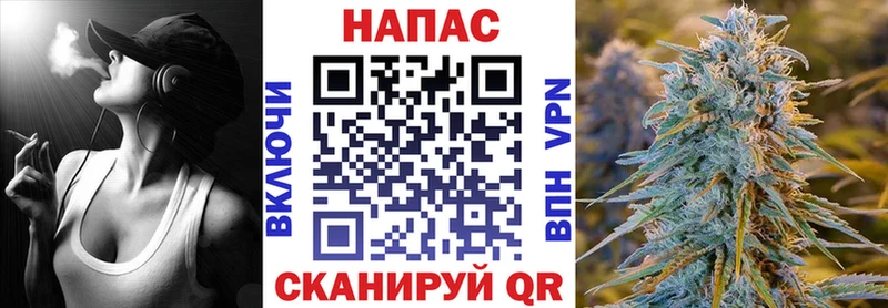 Бошки Шишки SATIVA & INDICA Любим
